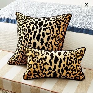 Ballard designs Serengeti pillow
